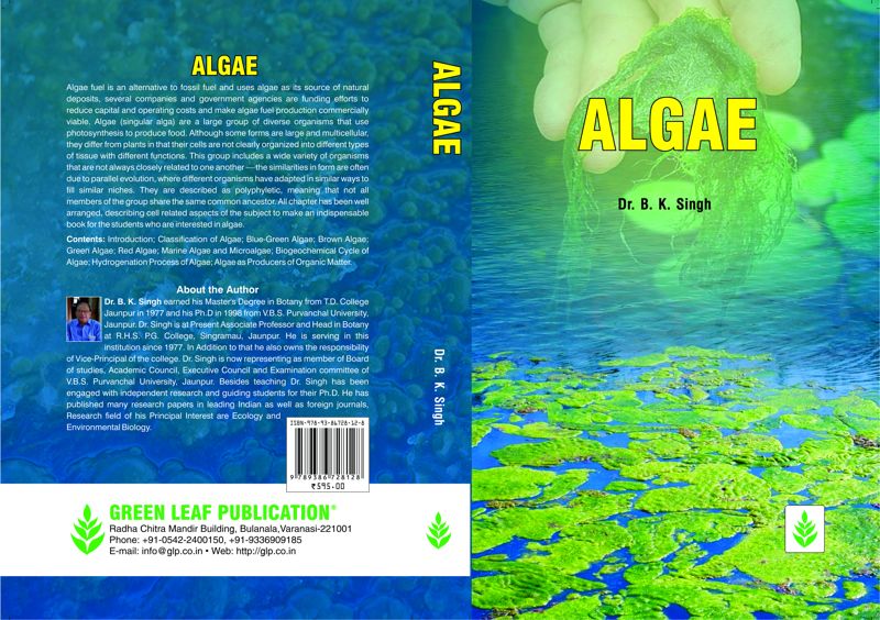 Algae